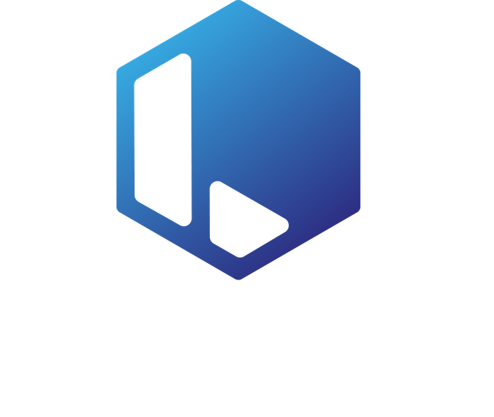 luger it systems